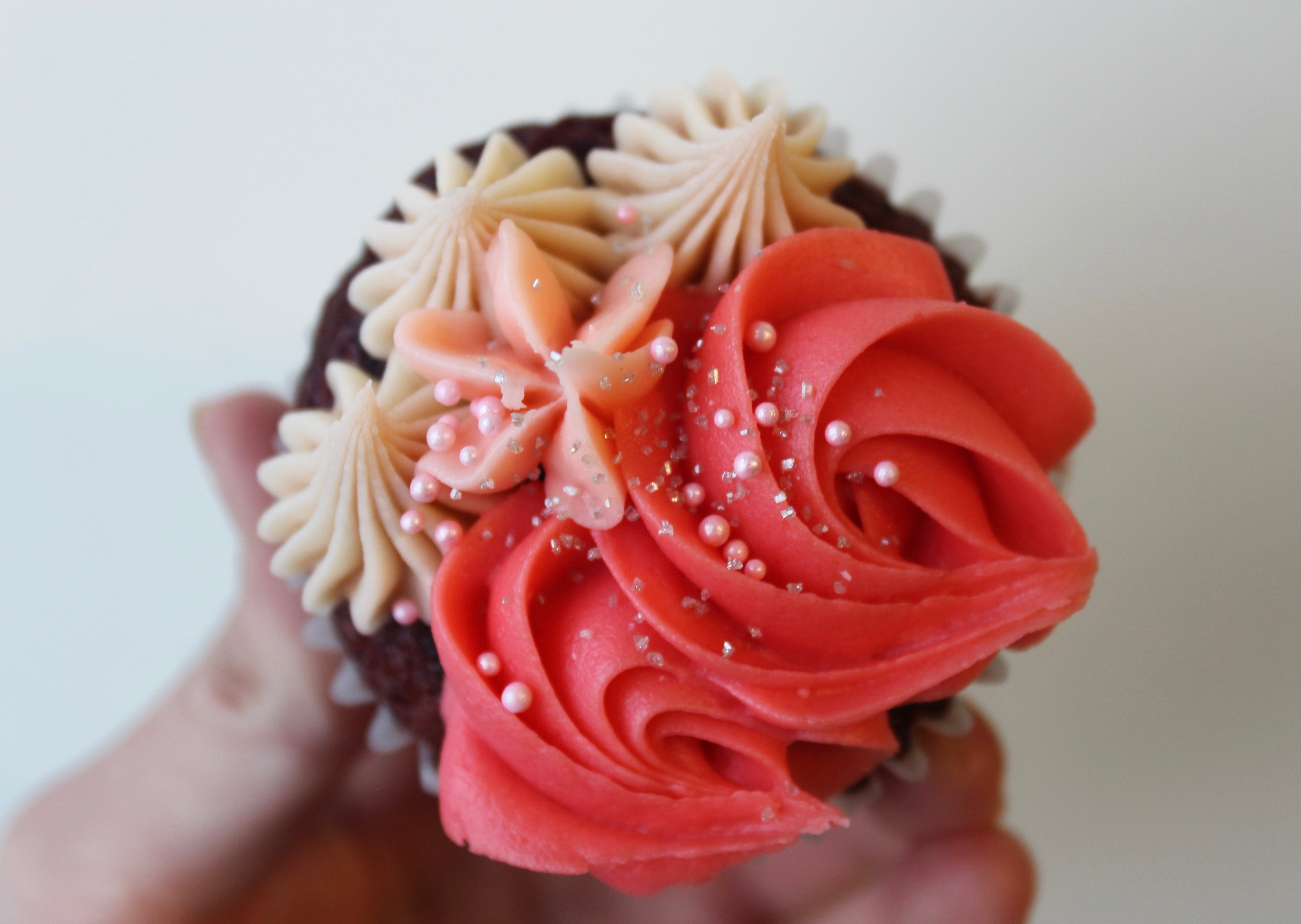 Regular Cupcakes